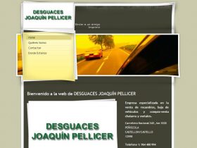 DESGUACES JOAQUN PELLICER