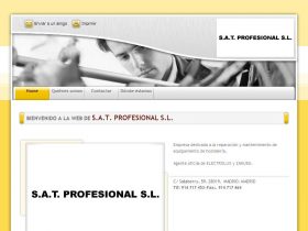 S.A.T. PROFESIONAL S.L.