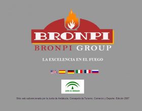 BRONPI GROUP