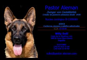 RESIDENCIA CANINA ROLKE