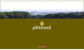 PIONSOL