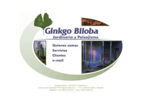 GINKGO BILOBA