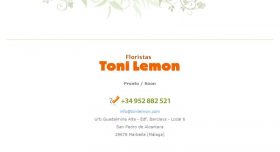 TONI LEMON