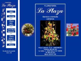 FLORISTERÍA LA PLAZA