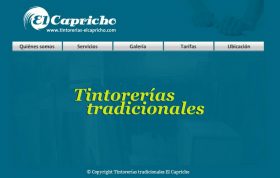 TINTORERAS EL CAPRICHO