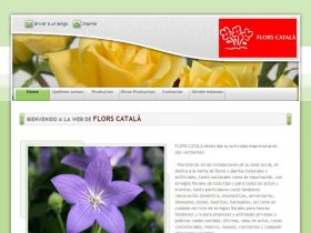 FLORS CATAL