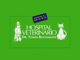 HOSPITAL VETERINARIO DR. TOMS BUSTAMANTE