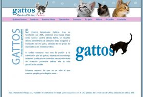 CENTRO VETERINARIO GATTOS