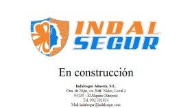 INDALSEGUR CONSULTING GROUP