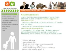 CLNICA VETERINARIA SAN JORGE